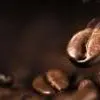 Hátfalpanel - Kávé 250 cm