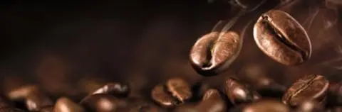 Hátfalpanel - Kávé 170 cm