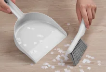 Szemeteslapát + kis kefe