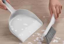 Szemeteslapát + kis kefe